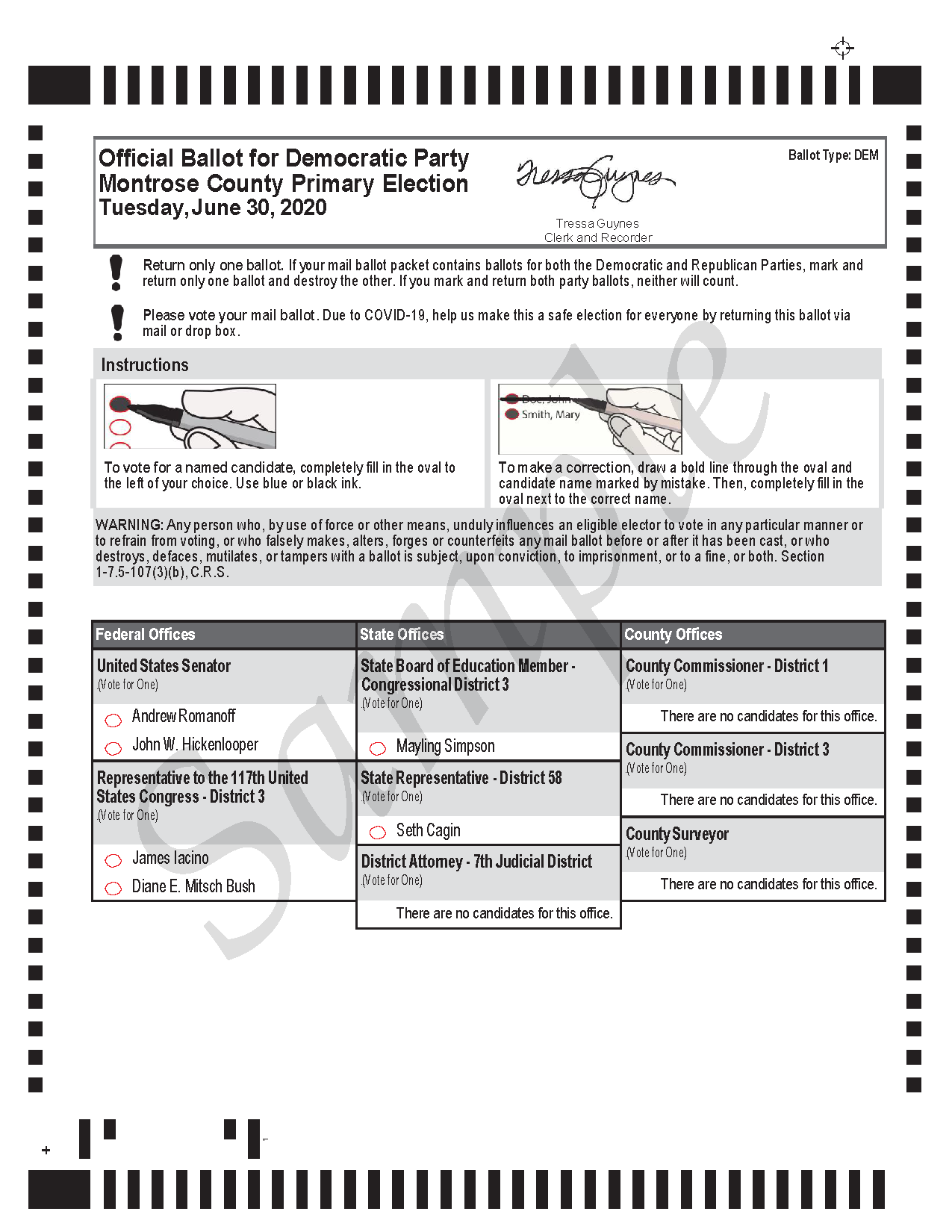 Sample Primary Ballot: Democratic Party