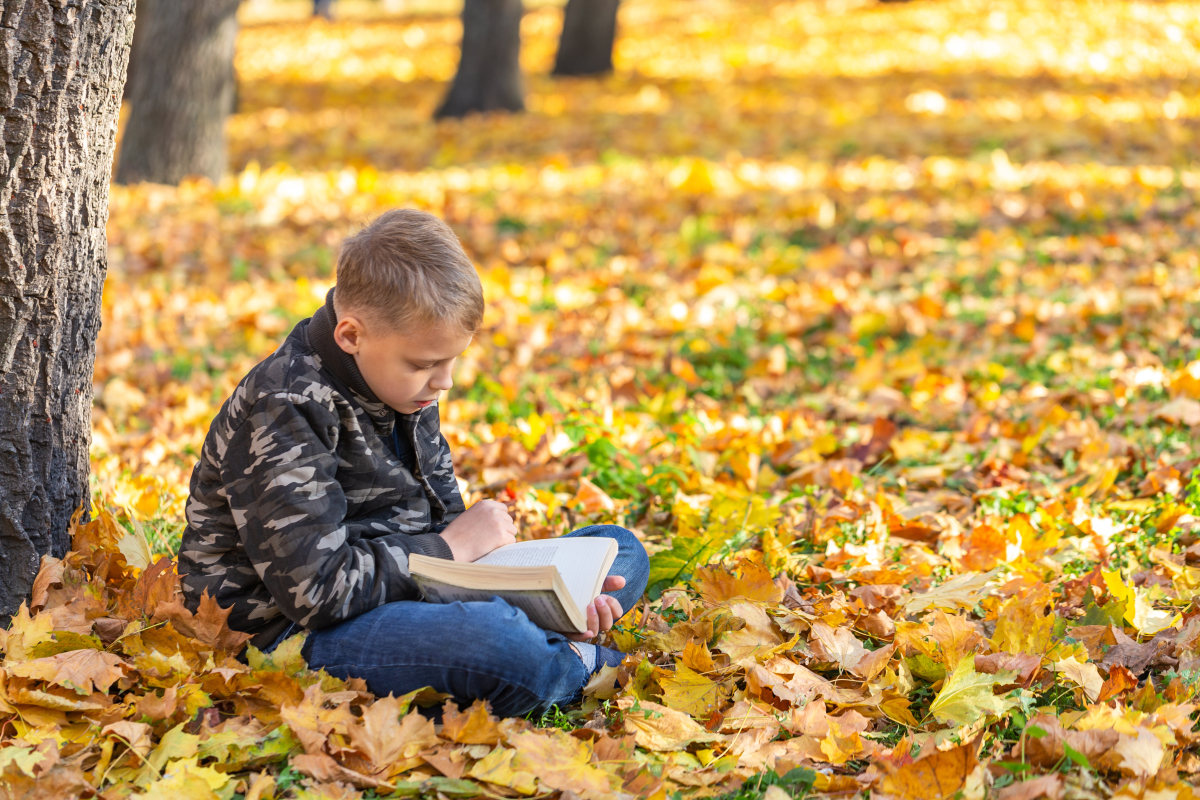 Boy dressed in casual warm clothes sits alone on ground covered with fall maple leaves on warm sunny day reading a book.