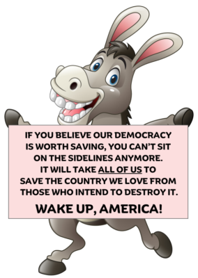 If you believe our democracy is worth saving, you can’t sit on the sidelines anymore. It will take all of us to save the country we love from those who intend to destroy it. Wake up, America!